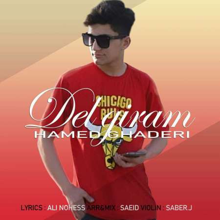 Hamed Ghaderi – Delgiram